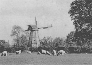 Biddenden Windmill